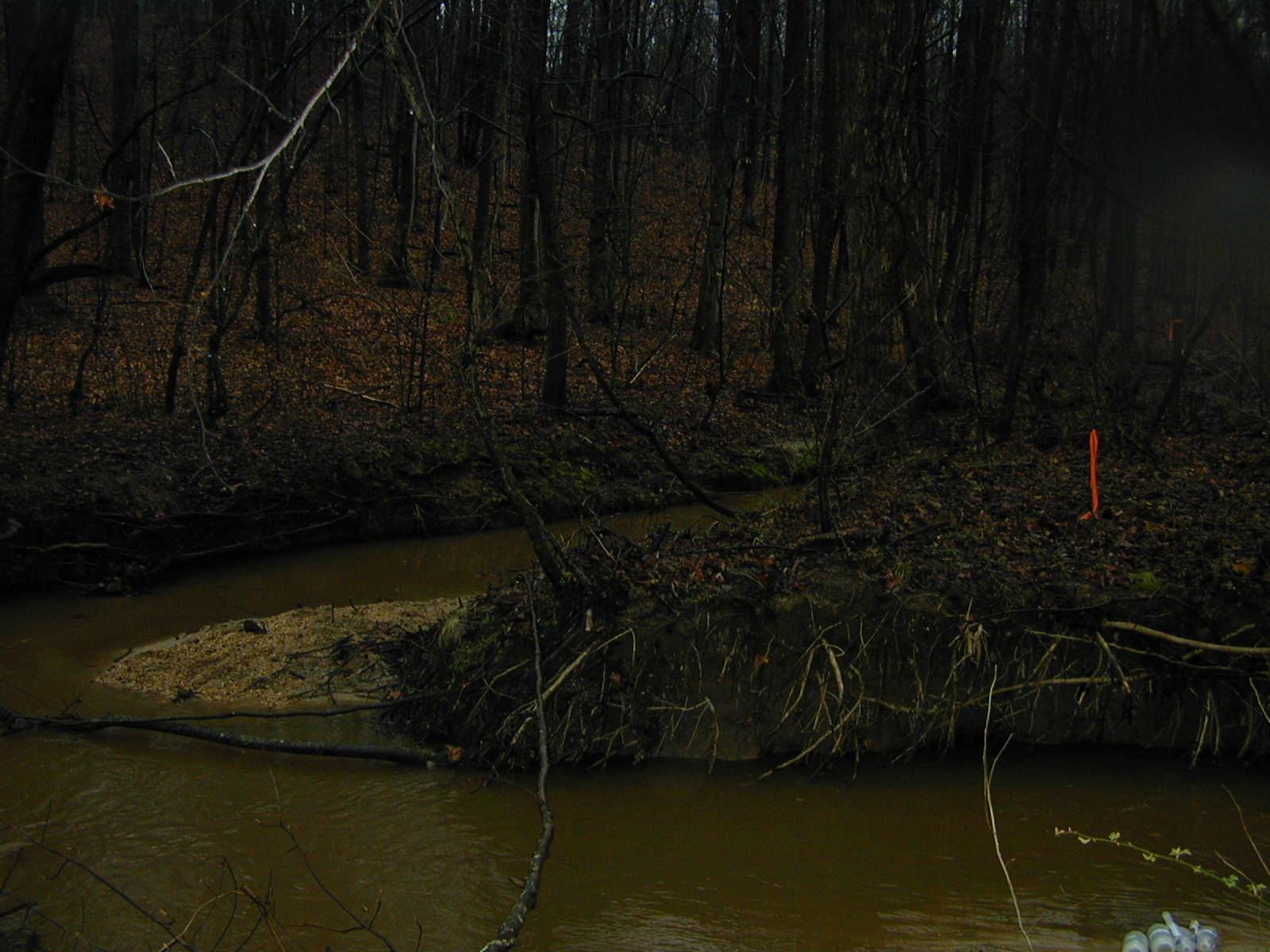 Field photo showing stream conditions at site WICO-109-R-2004-2