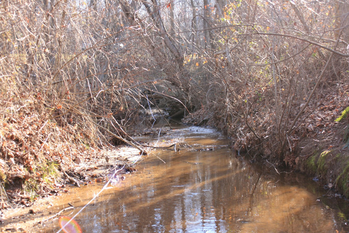Field photo showing stream conditions at site WICO-113-A-2011-1