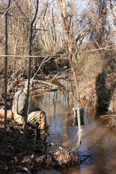 Field photo showing stream conditions at site WICO-113-A-2011-2