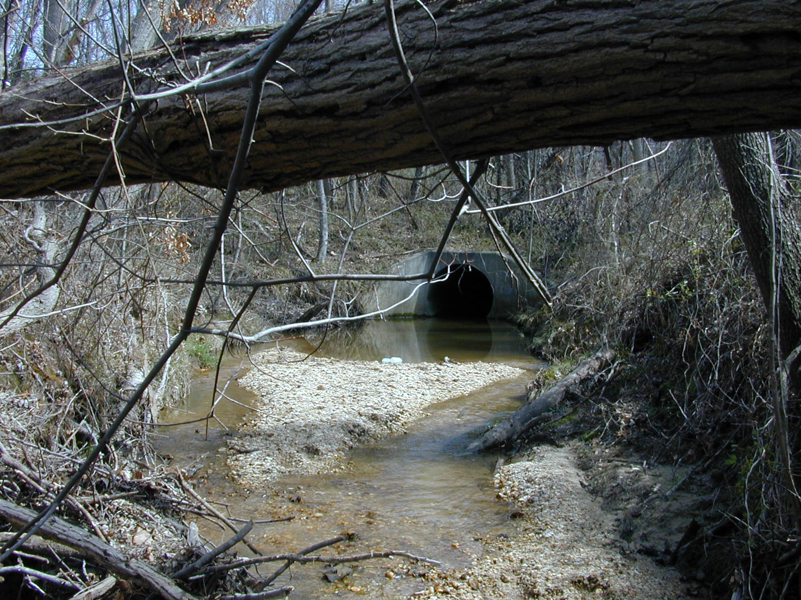 Field photo showing stream conditions at site WICO-113-R-2004-1