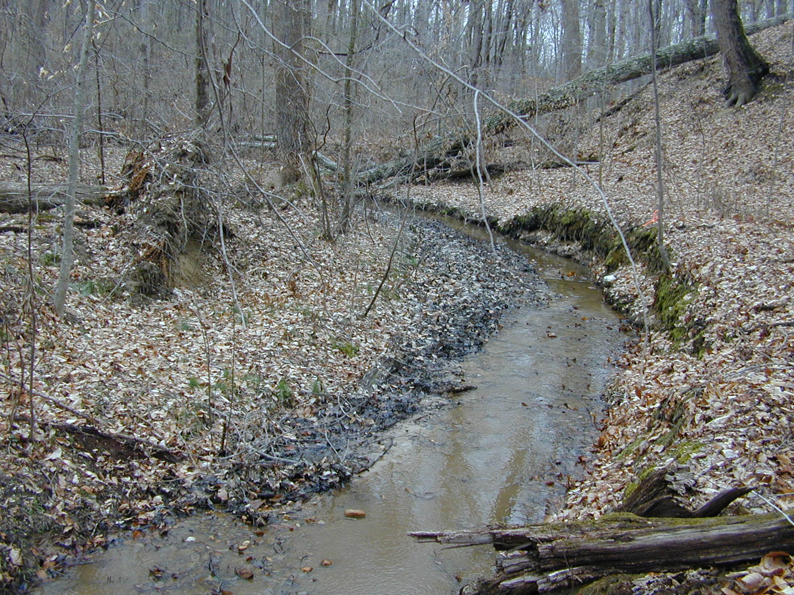 Field photo showing stream conditions at site WICO-118-R-2004-1