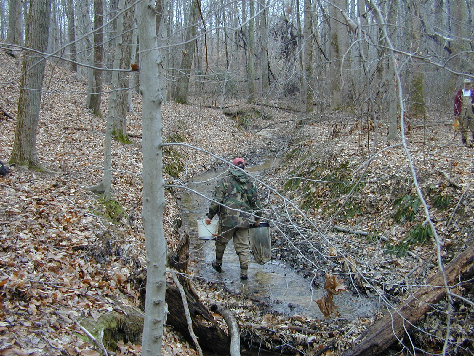 Field photo showing stream conditions at site WICO-118-R-2004-2