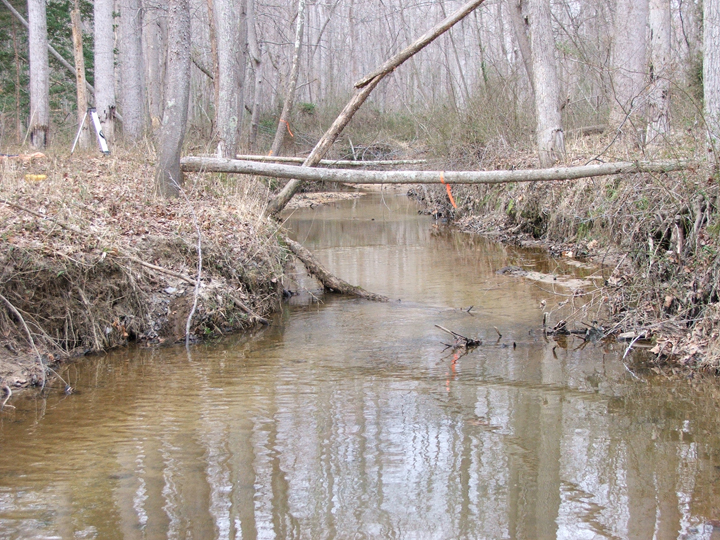 Field photo showing stream conditions at site WICO-202-A-2008-1