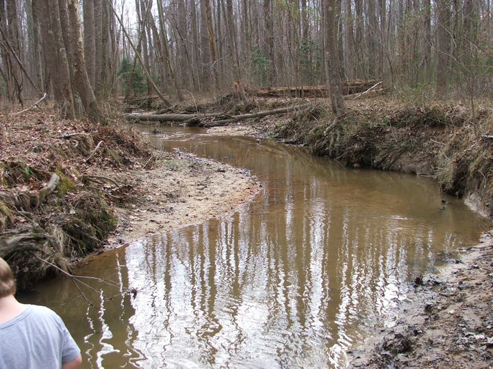 Field photo showing stream conditions at site WICO-202-A-2008-2