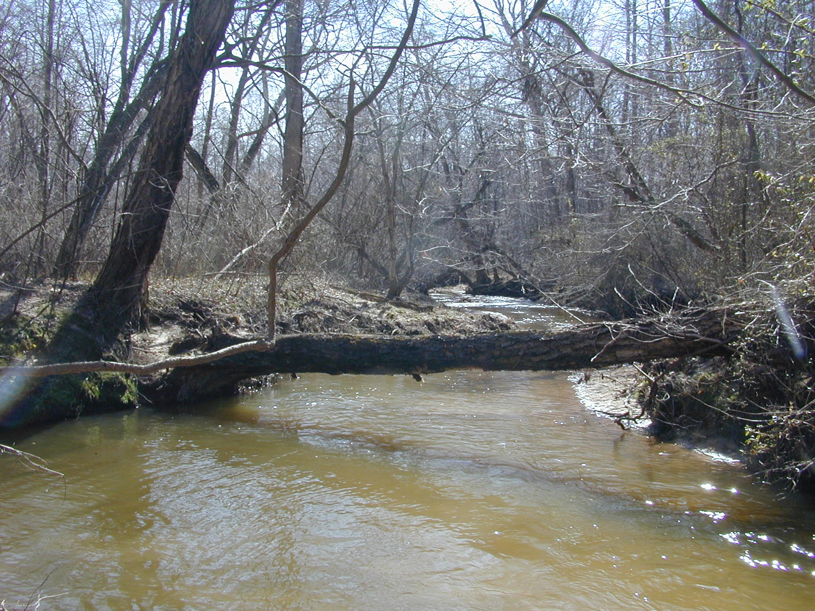 Field photo showing stream conditions at site WICO-207-R-2004-1