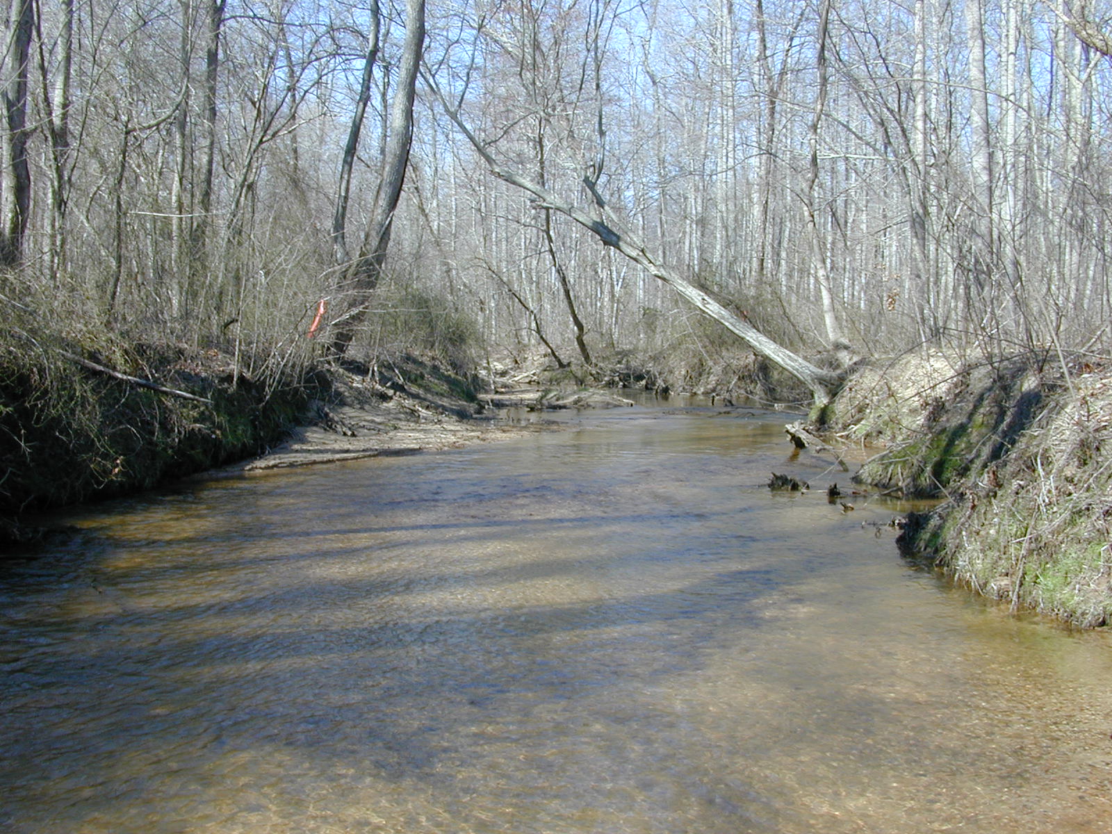 Field photo showing stream conditions at site WICO-207-R-2004-2