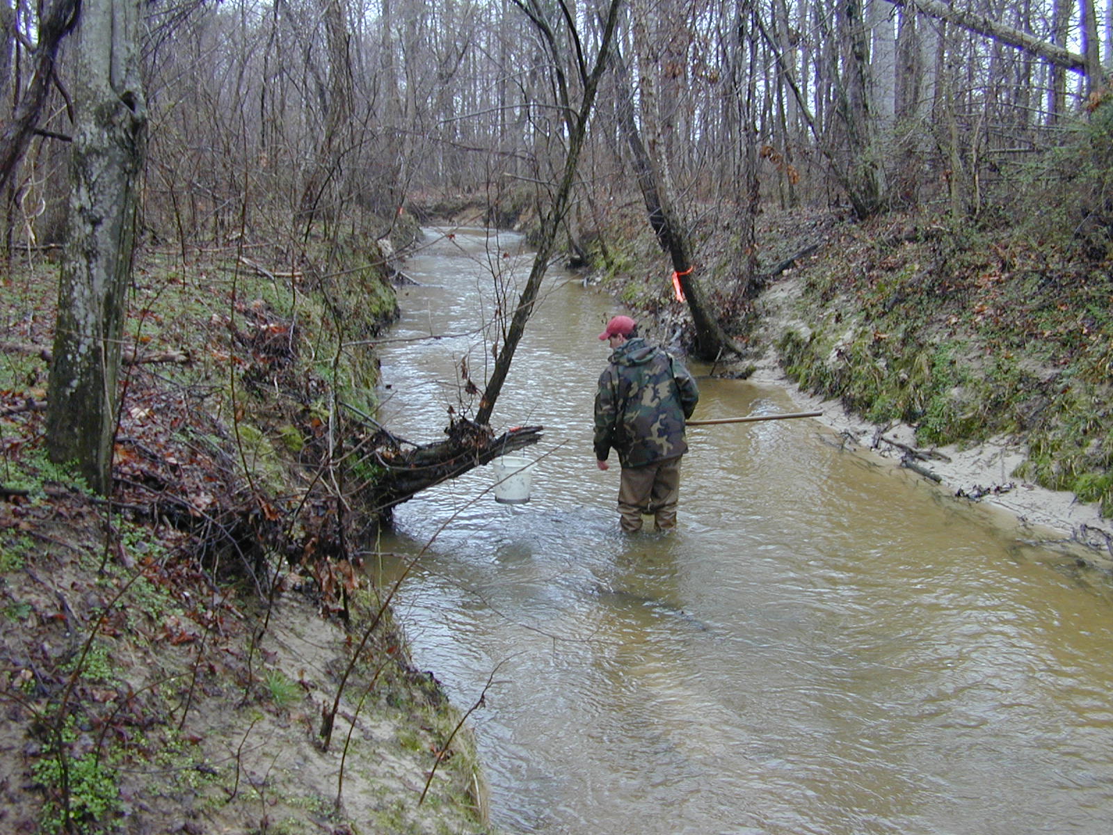 Field photo showing stream conditions at site WICO-214-R-2004-1