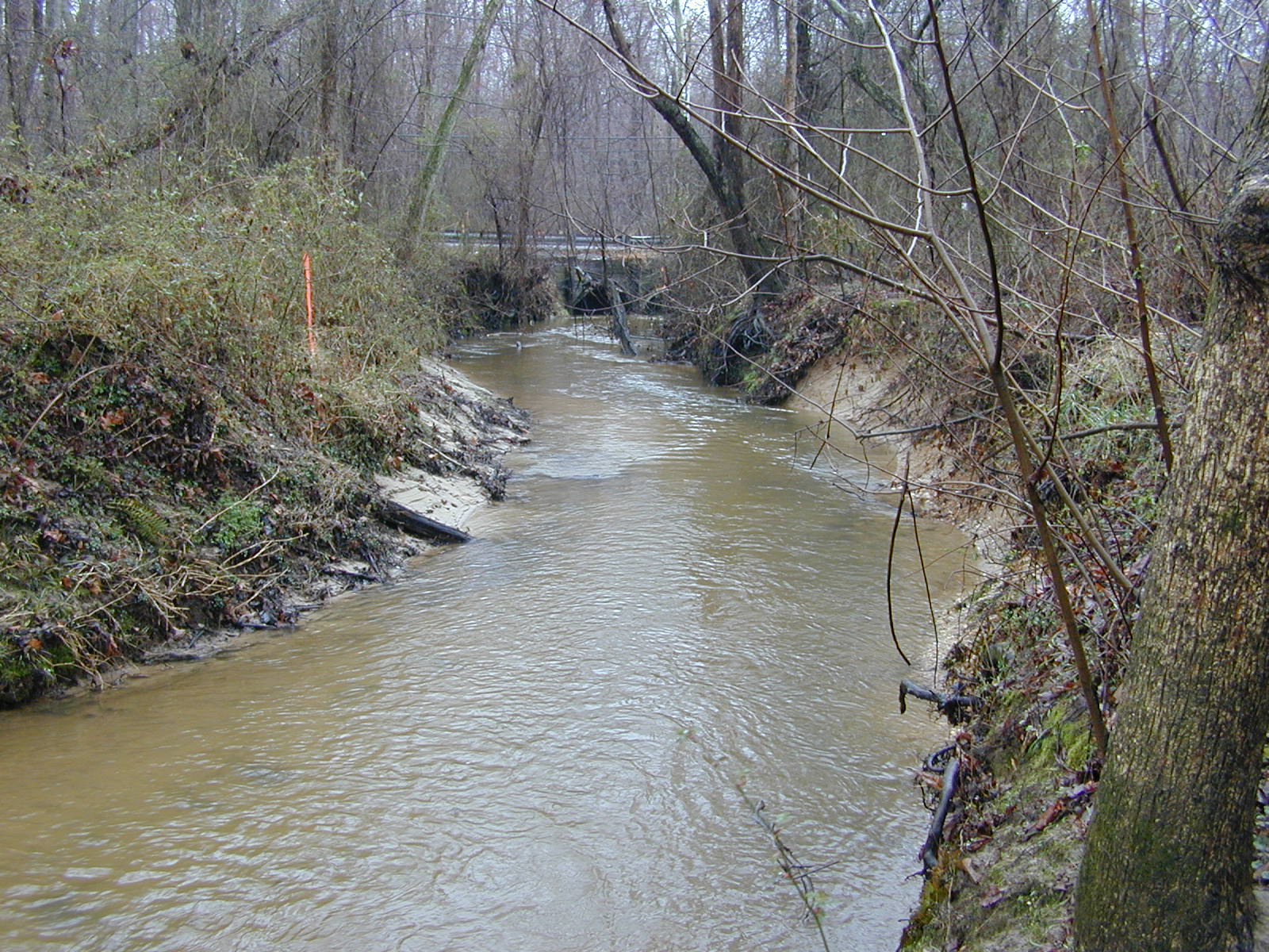 Field photo showing stream conditions at site WICO-214-R-2004-2