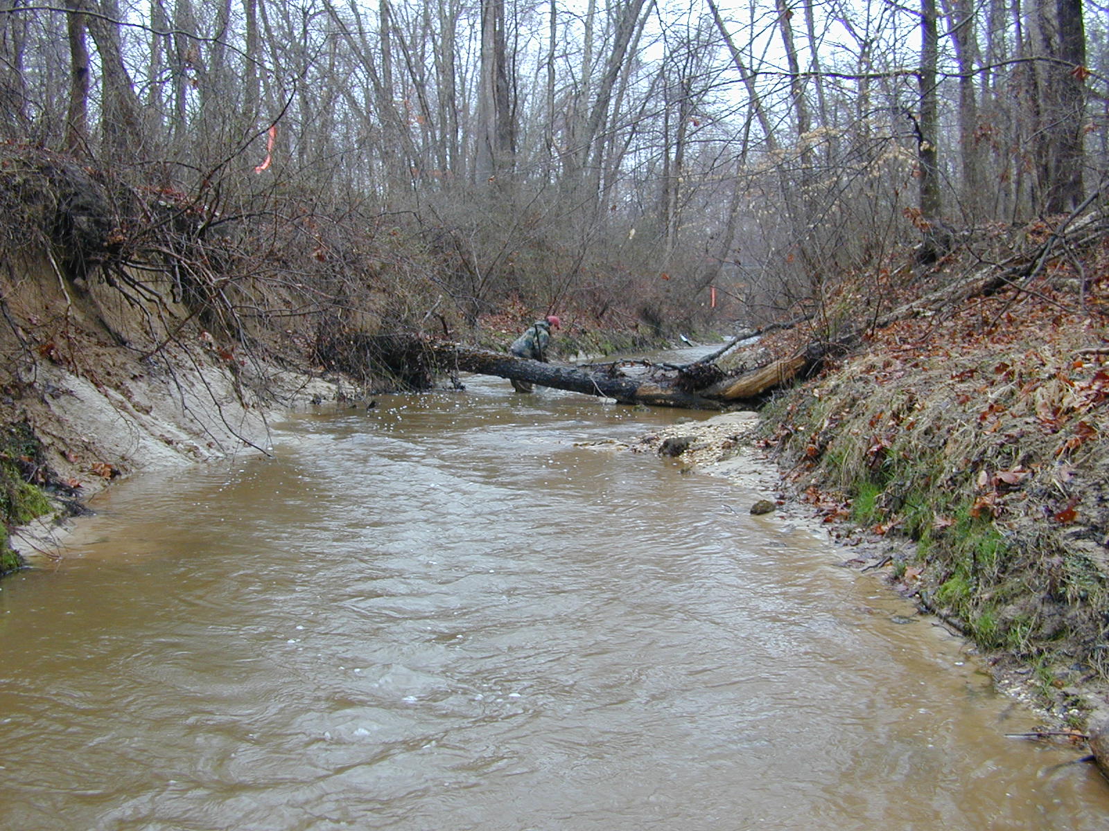 Field photo showing stream conditions at site WICO-217-R-2004-1