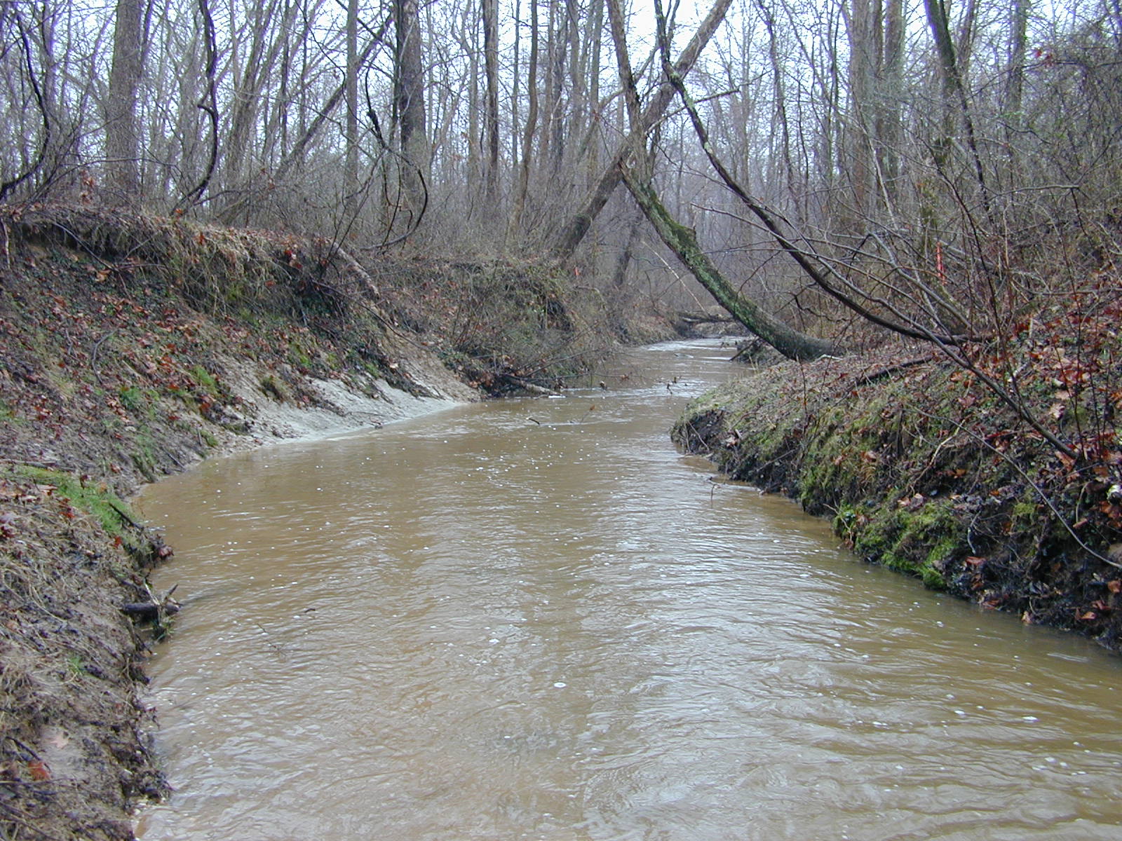Field photo showing stream conditions at site WICO-217-R-2004-2