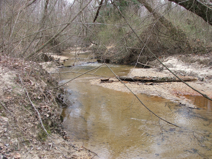 Field photo showing stream conditions at site WICO-301-A-2008-1