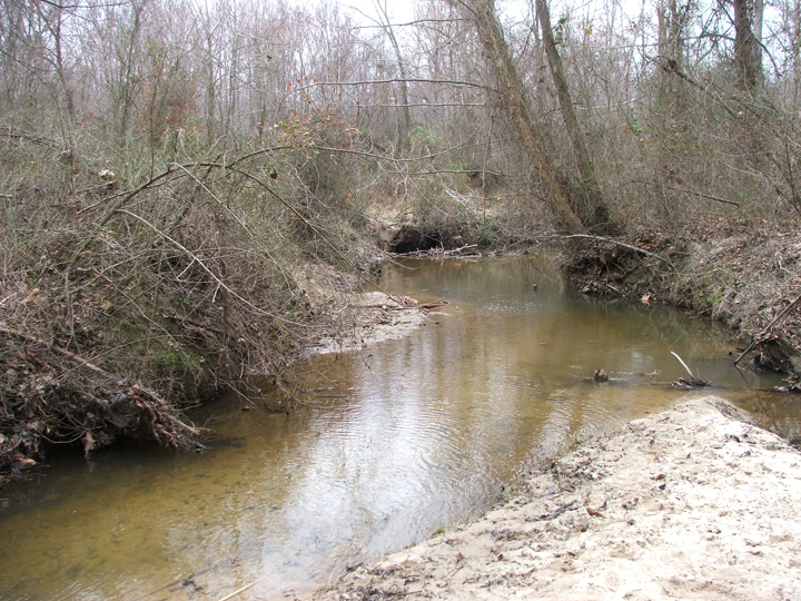 Field photo showing stream conditions at site WICO-301-A-2008-2