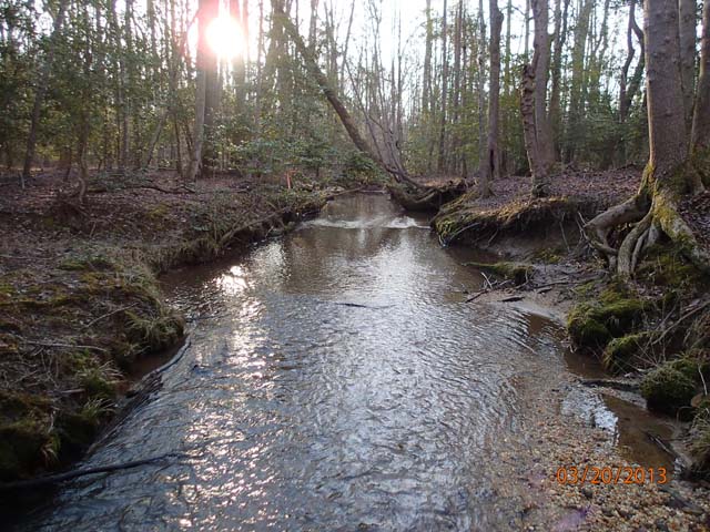 Field photo showing stream conditions at site WICO-301-A-2013-MidpointDownstream
