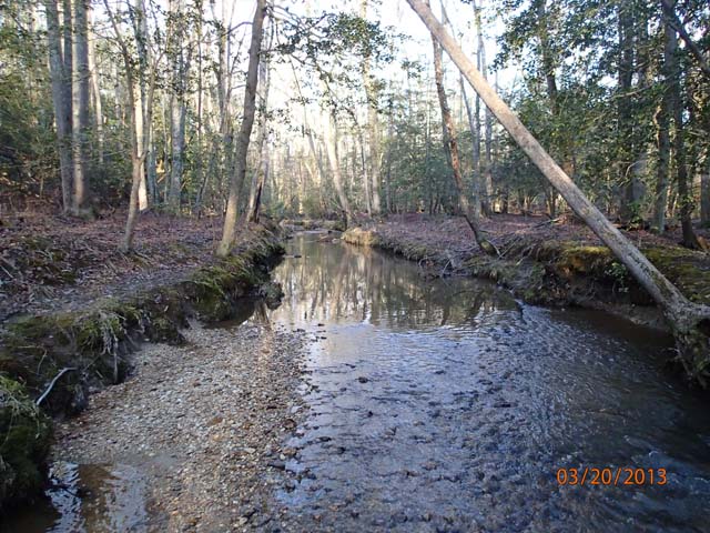 Field photo showing stream conditions at site WICO-301-A-2013-MidpointUpstream