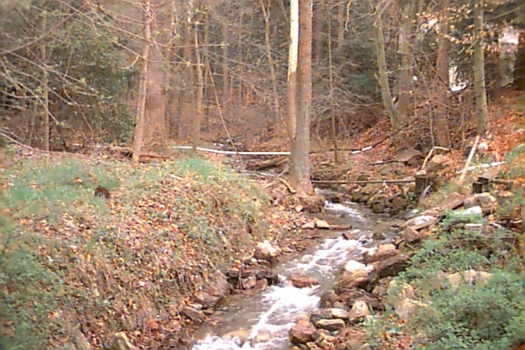 Field photo showing stream conditions at site WILL-102-C-2000-01