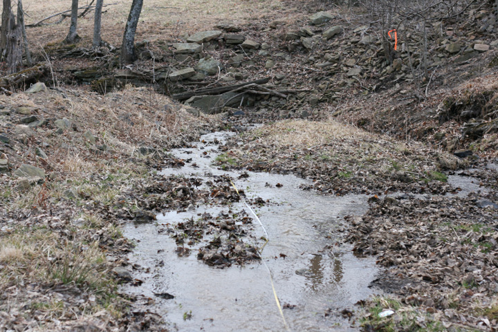 Field photo showing stream conditions at site WILL-109-R-2009-1