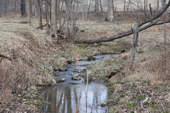 Field photo showing stream conditions at site WILL-109-R-2009-2