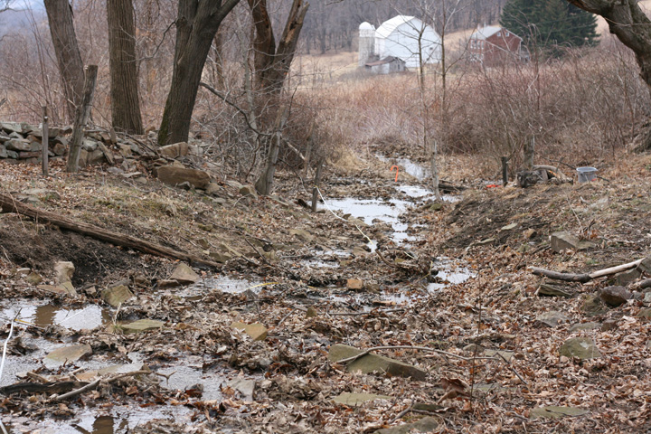 Field photo showing stream conditions at site WILL-110-R-2009-1