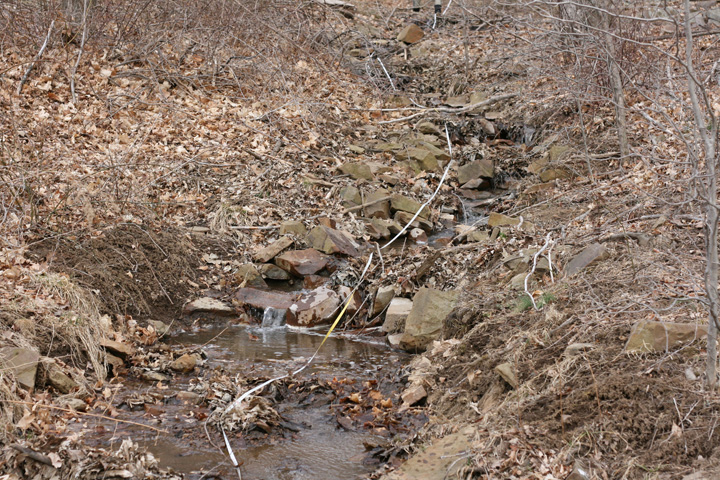 Field photo showing stream conditions at site WILL-110-R-2009-2