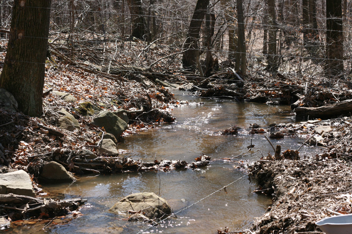Field photo showing stream conditions at site WILL-111-R-2009-1