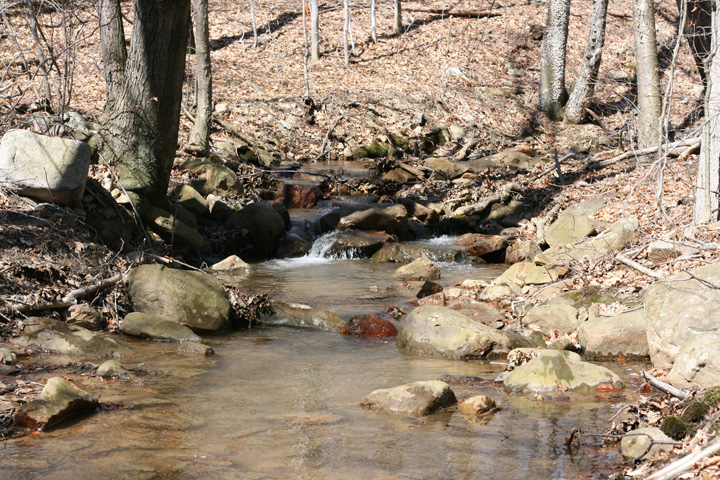 Field photo showing stream conditions at site WILL-111-R-2009-2