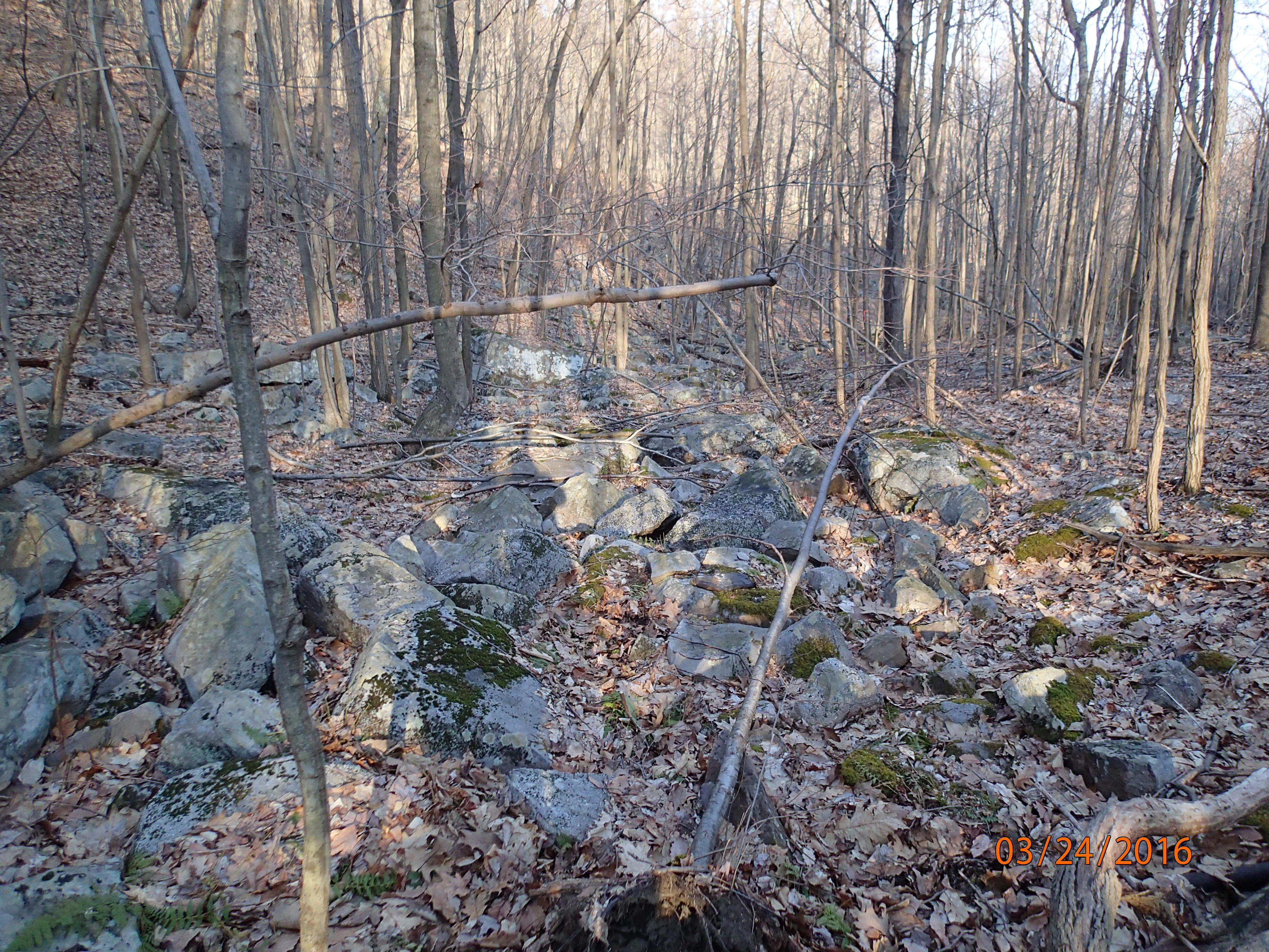 Field photo showing stream conditions at site WILL-115-R-2016-MidpointDownstream