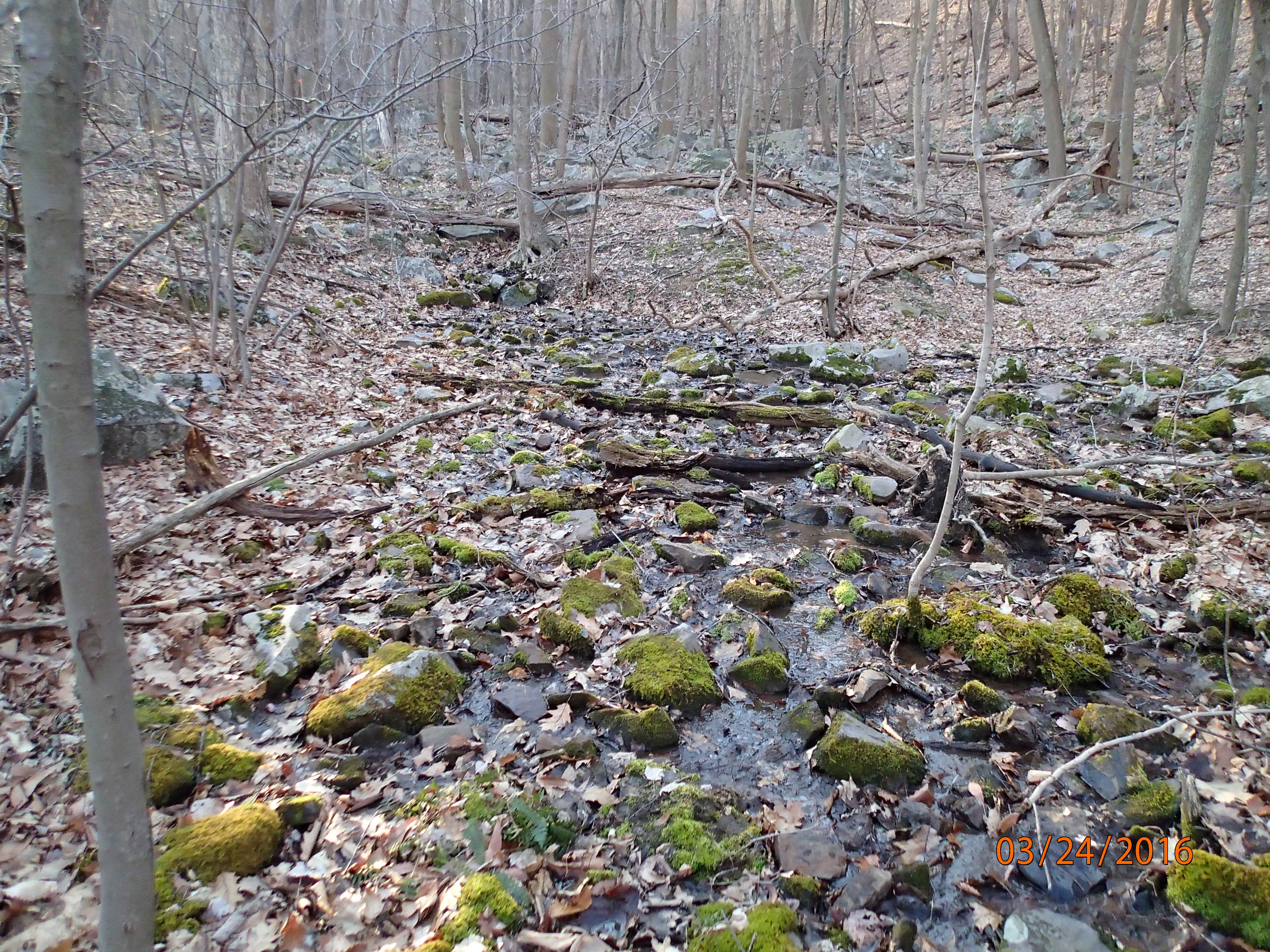 Field photo showing stream conditions at site WILL-115-R-2016-MidpointUpstream
