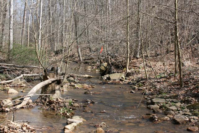 Field photo showing stream conditions at site WILL-193-A-2012-MidpointDownstream