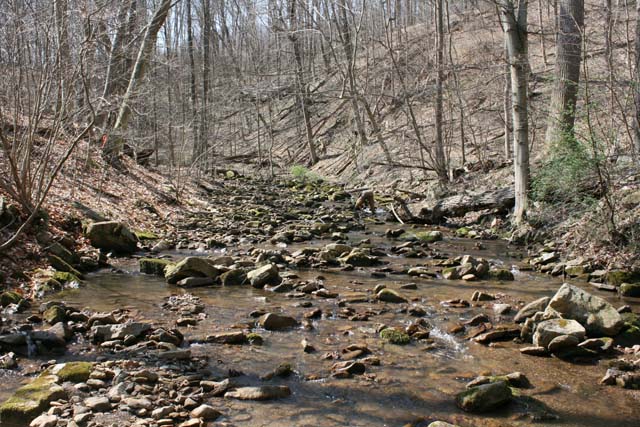 Field photo showing stream conditions at site WILL-193-A-2012-MidpointUpstream