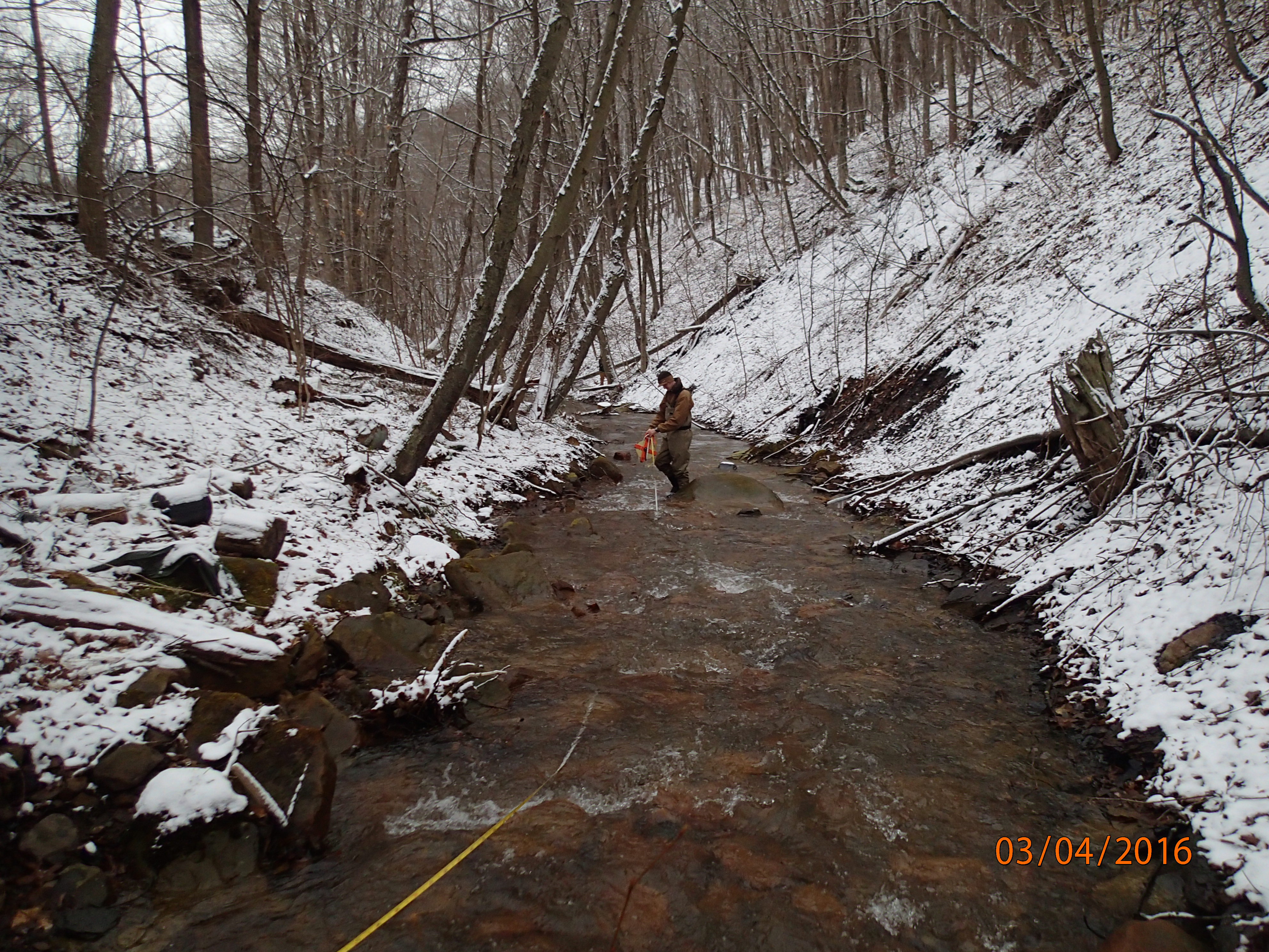 Field photo showing stream conditions at site WILL-226-R-2016-MidpointDownstream