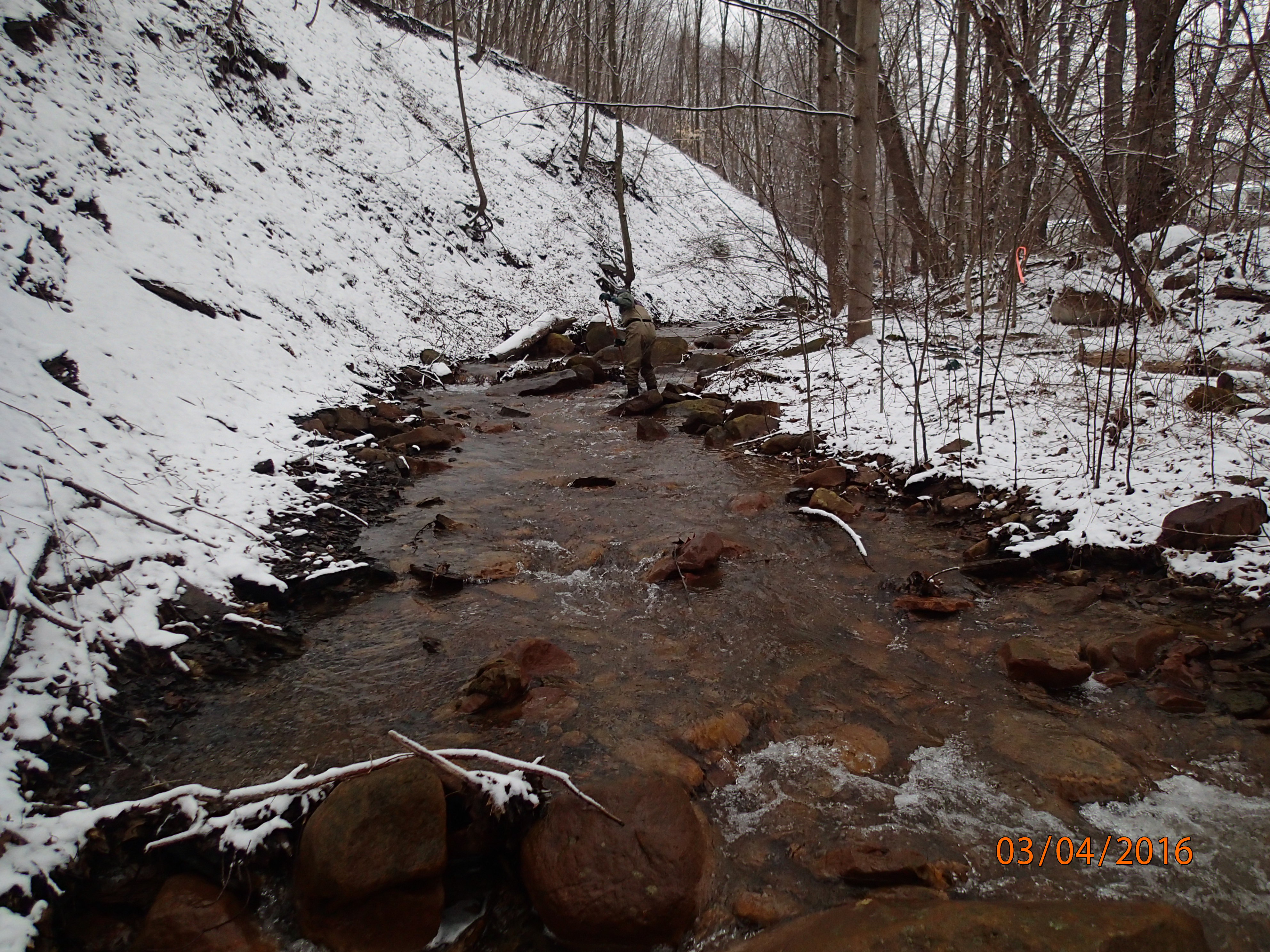 Field photo showing stream conditions at site WILL-226-R-2016-MidpointUpstream