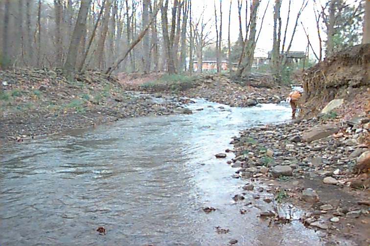 Field photo showing stream conditions at site WILL-301-C-2000-01