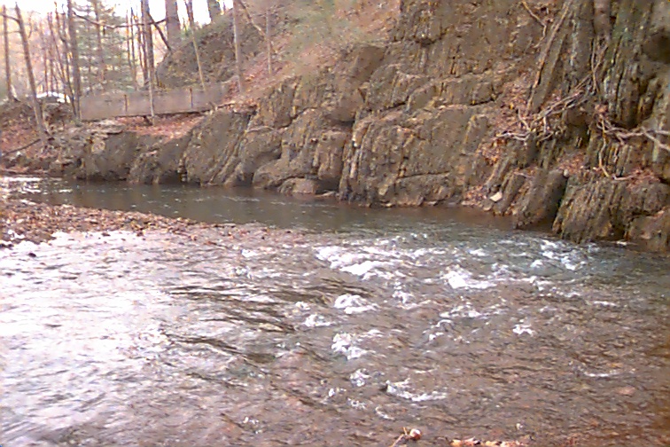 Field photo showing stream conditions at site WILL-301-C-2000-02