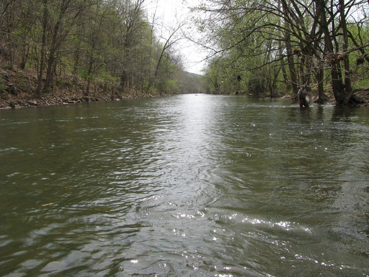 Field photo showing stream conditions at site WILL-411-H-2010-1