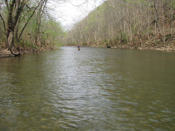 Field photo showing stream conditions at site WILL-411-H-2010-2