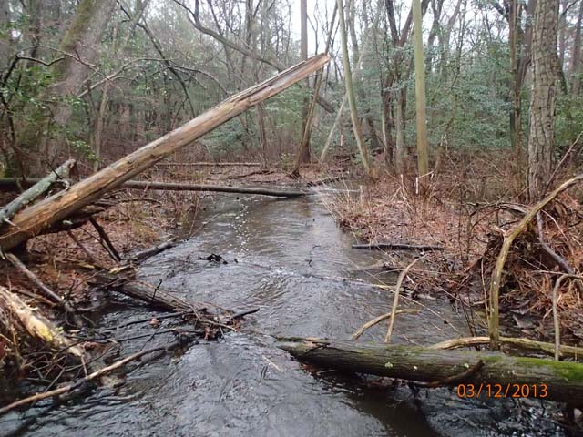 Field photo showing stream conditions at site WIRH-101-A-2013-MidpointDownstream