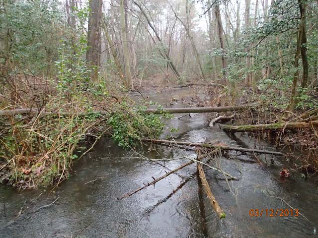 Field photo showing stream conditions at site WIRH-101-A-2013-MidpointUpstream