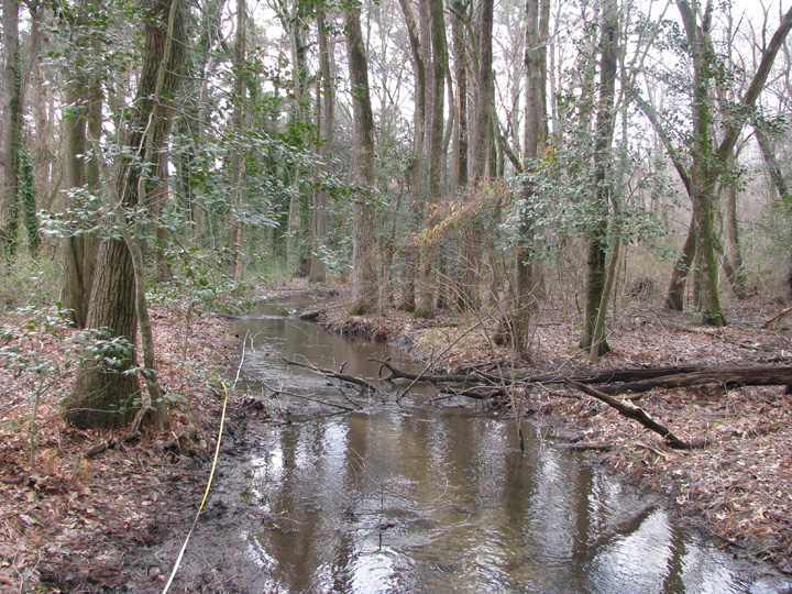 Field photo showing stream conditions at site WIRH-102-B-2009-1