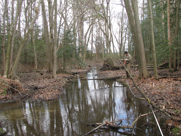 Field photo showing stream conditions at site WIRH-102-B-2009-2