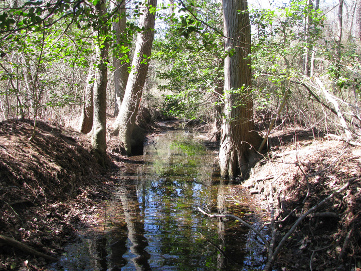 Field photo showing stream conditions at site WIRH-103-B-2009-1