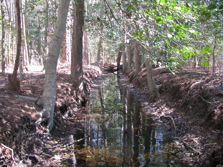 Field photo showing stream conditions at site WIRH-103-B-2009-2