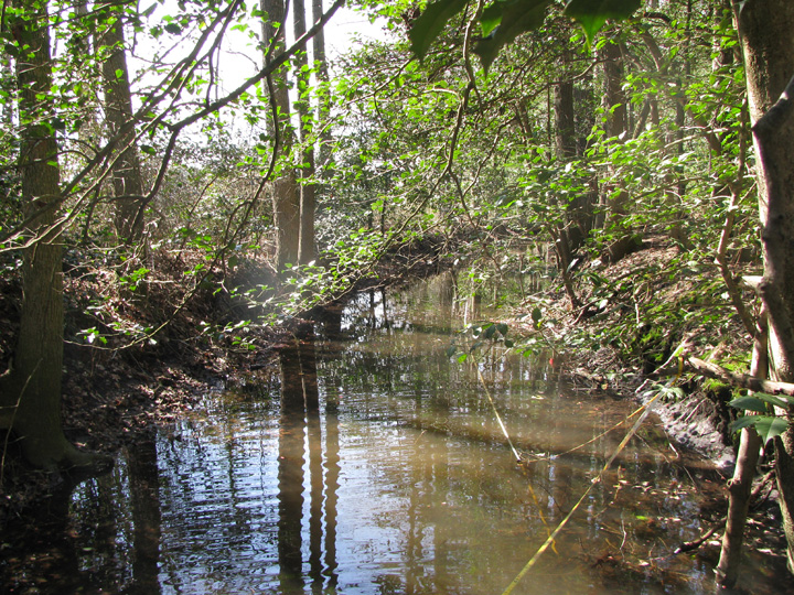 Field photo showing stream conditions at site WIRH-104-B-2009-1