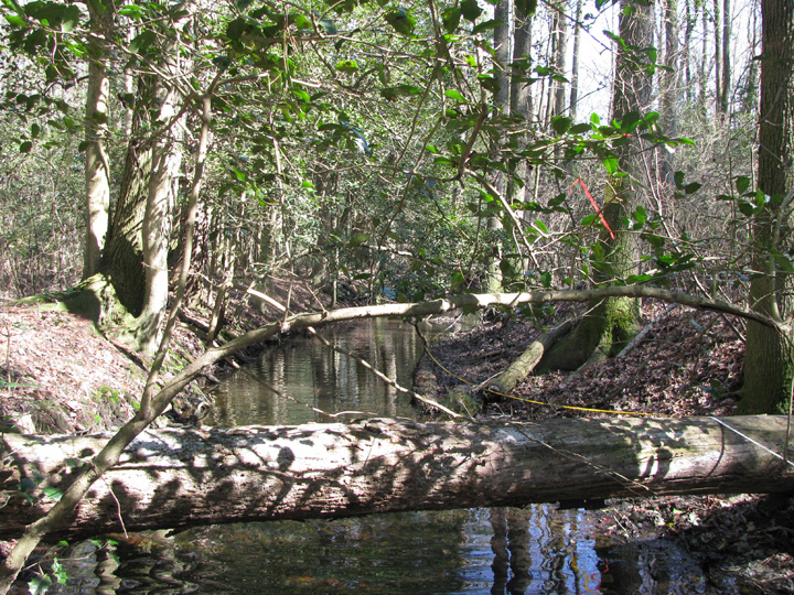 Field photo showing stream conditions at site WIRH-104-B-2009-2