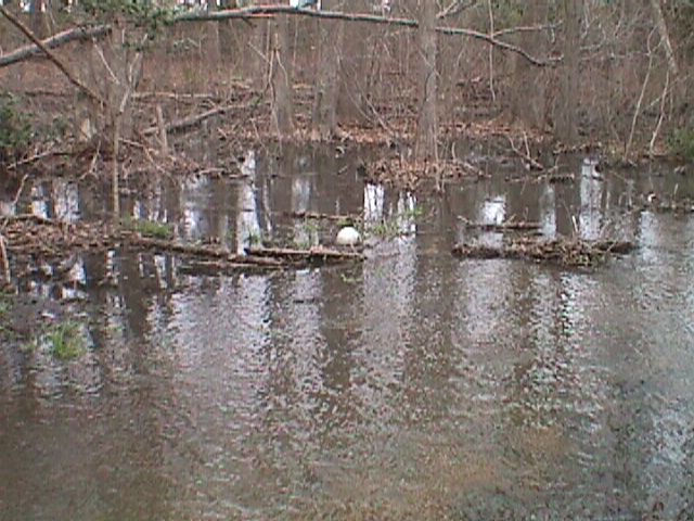 Field photo showing stream conditions at site WIRH-108-R-2000-11_04