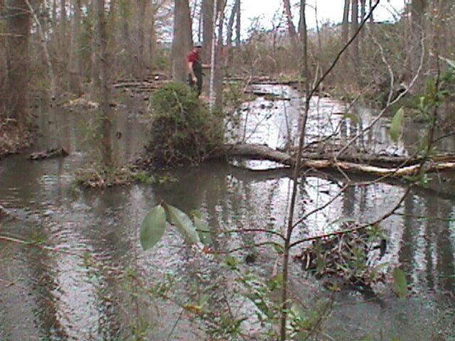 Field photo showing stream conditions at site WIRH-108-R-2000-11_05