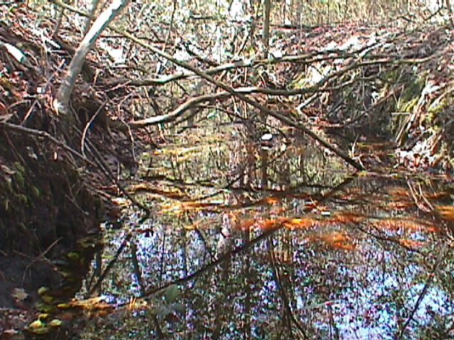 Field photo showing stream conditions at site WIRH-109-R-2000-13_07