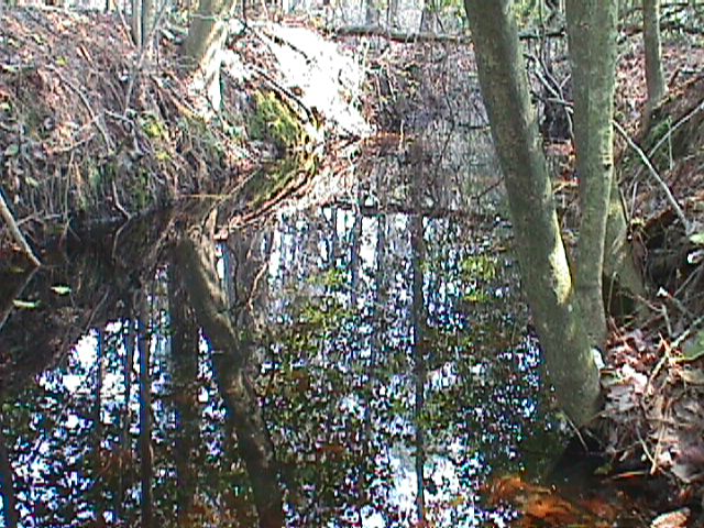 Field photo showing stream conditions at site WIRH-109-R-2000-13_08