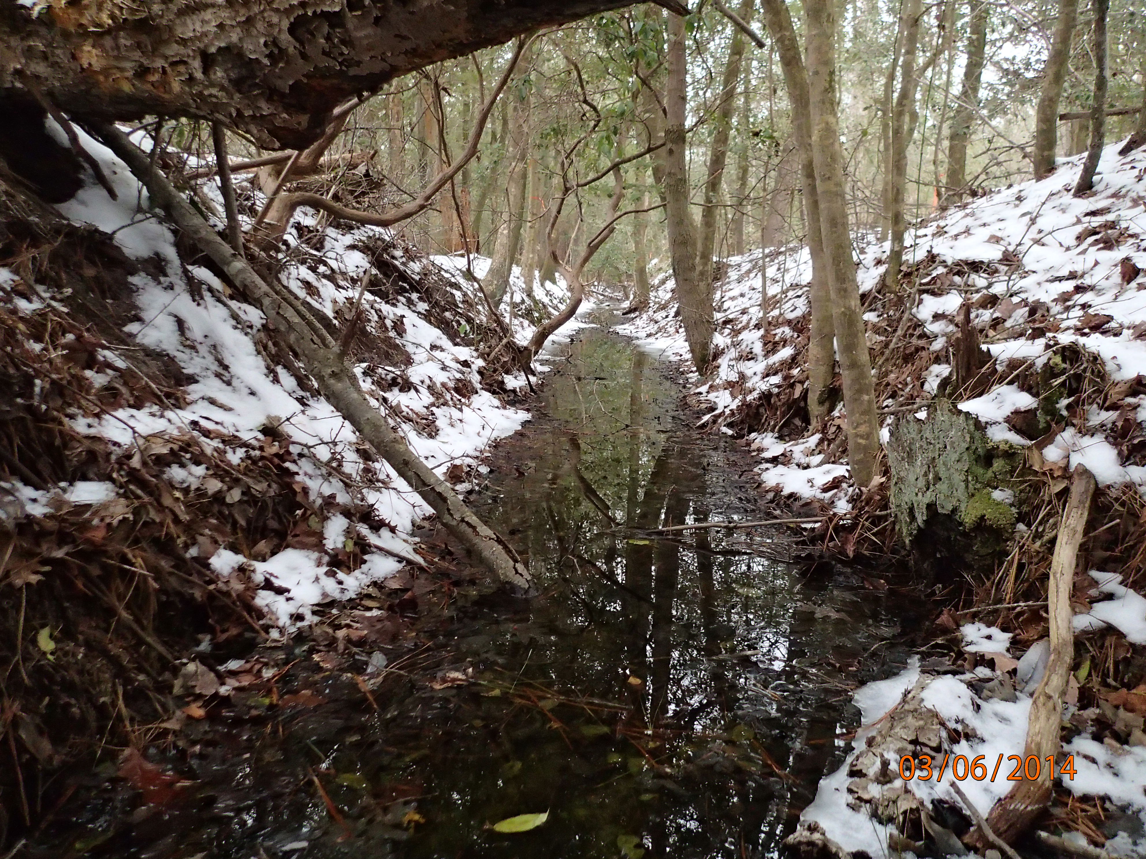 Field photo showing stream conditions at site WIRH-109-R-2014-MidpointDownstream