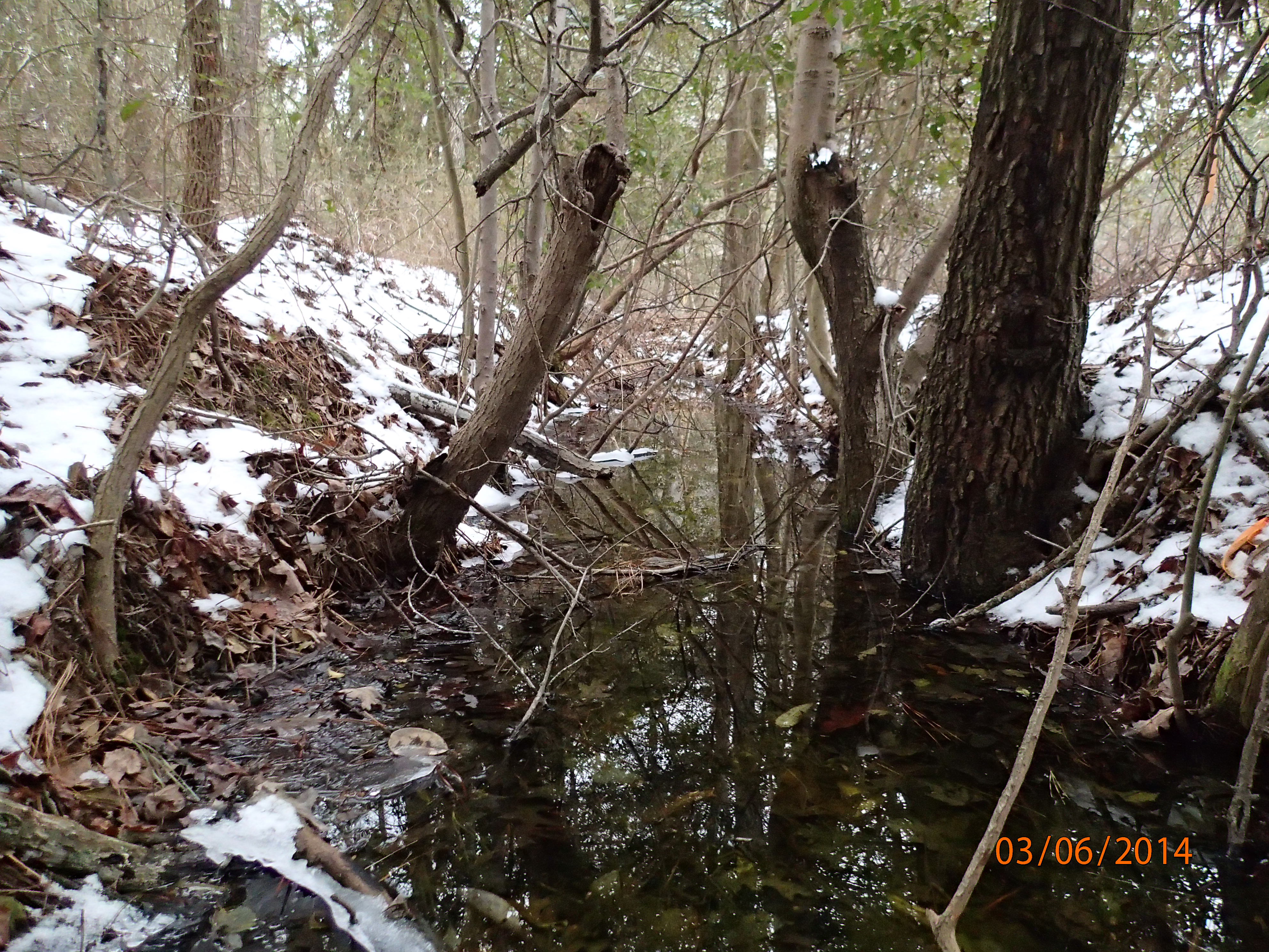 Field photo showing stream conditions at site WIRH-109-R-2014-MidpointUpstream