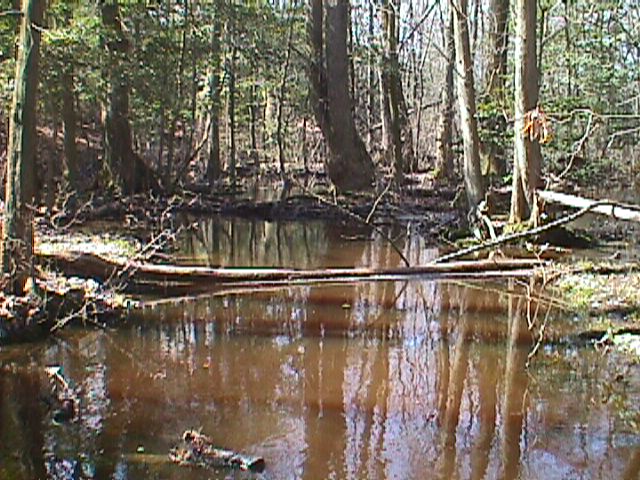 Field photo showing stream conditions at site WIRH-111-R-2000-13_05